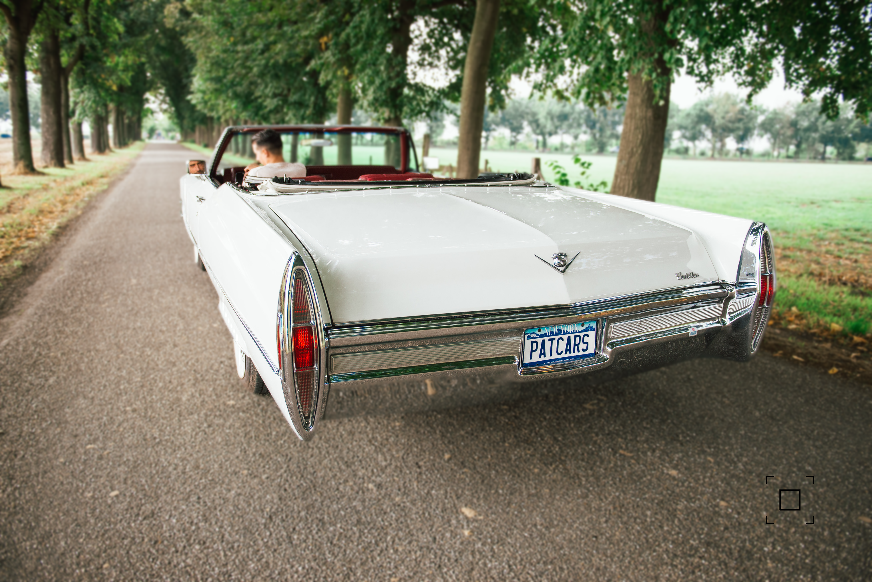 See you later - patcars on the road. Pat the driver. See you next time!